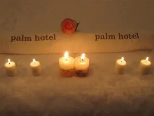 Palm Hotel 호치민